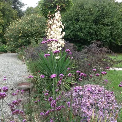 Jardin de l'établissement La Grange Terrou