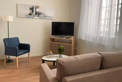 Télévision ou salle de divertissement dans l'établissement Zenao Appart'hôtels Cognac