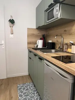 Cuisine ou kitchenette dans l'établissement Le Jardin Royal