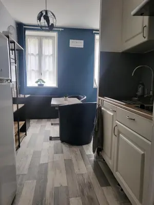 Cuisine ou kitchenette dans l'établissement Studio non fumeur en rez-de-chaussée