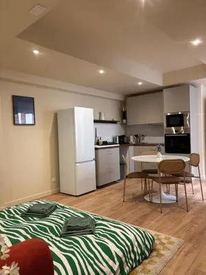 Cuisine ou kitchenette dans l'établissement L'Olivier - appartement cozy au centre de Poitiers