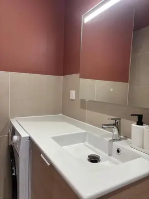 Salle de bains dans l'établissement L'Olivier - appartement cozy au centre de Poitiers