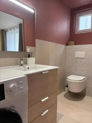 Salle de bains dans l'établissement L'Olivier - appartement cozy au centre de Poitiers