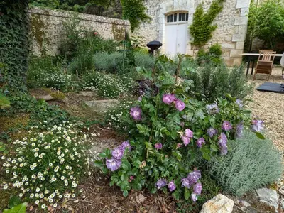 Jardin de l'établissement Charmant gîte avec piscine chauffée et Wi-Fi en pleine nature - FR-1-653-283