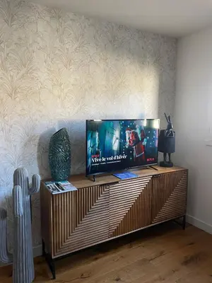 Télévision ou salle de divertissement dans l'établissement La Cour du Palais