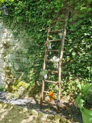 Jardin de l'établissement Studio cosy & ses troglos 