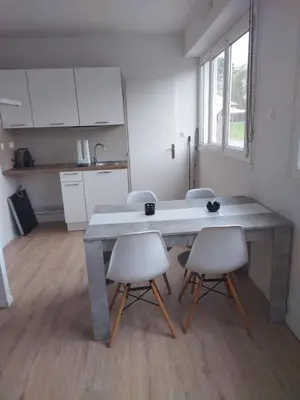 Cuisine ou kitchenette dans l'établissement Appartement au bord du Clain parking privatif