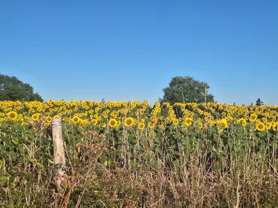 Paysage naturel près de la maison de vacances