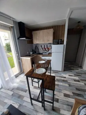 Cuisine ou kitchenette dans l'établissement Studio Fontaine