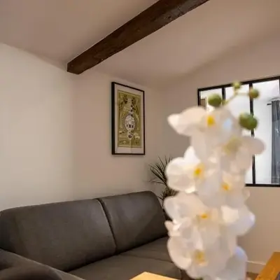 Le cocon - Plein de charme dans l'hyper centre