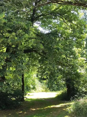 Paysage naturel près de la maison de vacances