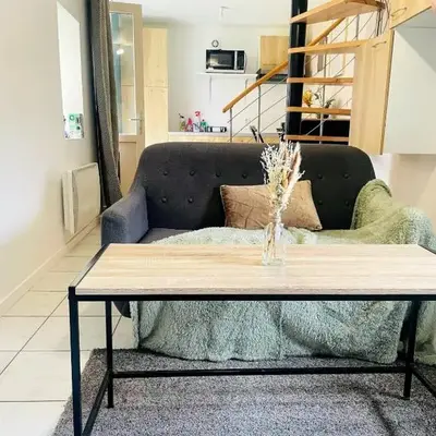 Charmante petite maison avec jardin et parking-Niort Centre