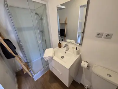 Salle de bains dans l'établissement Le Simba - grand studio avec Wi-Fi