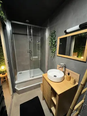 Salle de bains dans l'établissement Jungle room Poitiers