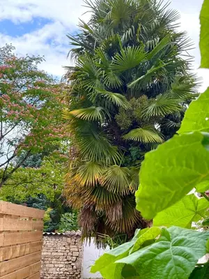 Jardin de l'établissement La parenthèse