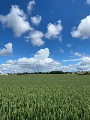Paysage naturel près de l'appartement