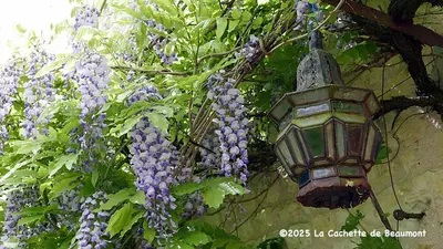Jardin de l'établissement La Cachette de Beaumont