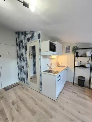 Cuisine ou kitchenette dans l'établissement L'Aquarelle studio - Bord du Clain, Calme, Netflix