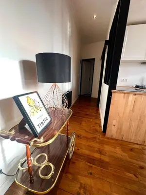 Télévision ou salle de divertissement dans l'établissement l'Appartement de Tintin