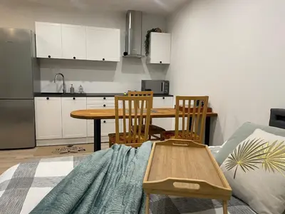 Cuisine ou kitchenette dans l'établissement Studio