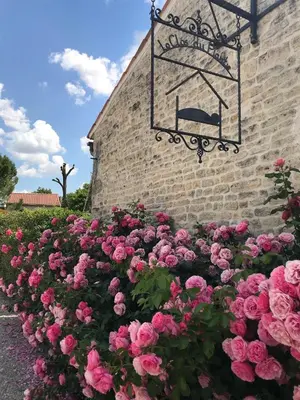 Jardin de l'établissement Le Clos du Plantis