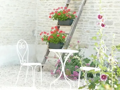 Jardin de l'établissement Le Clos du Plantis