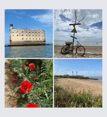 Plan de l'établissement Maison idéalement située à La Rochelle
