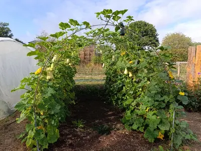 Jardin de l'établissement La Ferme du Papillon