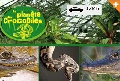 Animaux dans l'appartement ou à proximité