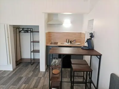 Cuisine ou kitchenette dans l'établissement Super studio à Poitiers