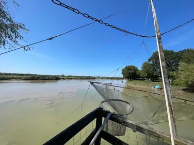 Vue sur la rivière ou le fleuve situé(e) à proximité de la maison de vacances