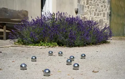 Jardin de l'établissement Charmante Maison Au Calme