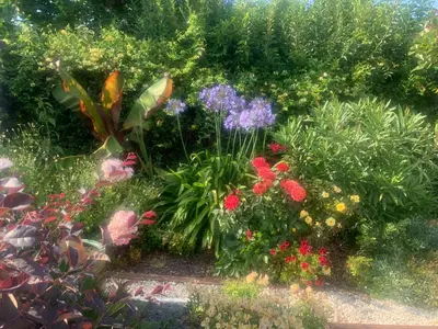 Jardin de l'établissement La Note Bleue - Chambres d'hôtes