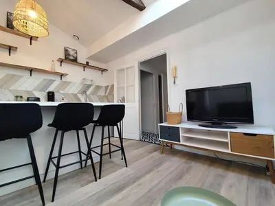 Télévision ou salle de divertissement dans l'établissement La Chaume, jolie appartement à Poitiers