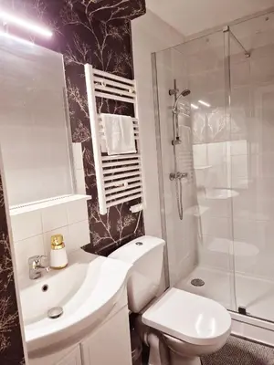 Salle de bains dans l'établissement Eden Suite Bohème - CHU, Parc des Expos, Parking, Netflix