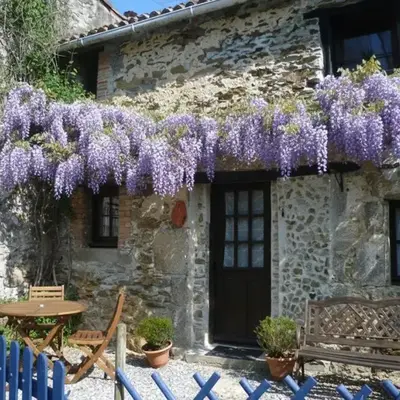 Les Glycines Gîtes - Les Petites Pierres gîte