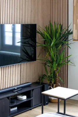 Télévision ou salle de divertissement dans l'établissement Le point Central #hypercentre #2 chambres