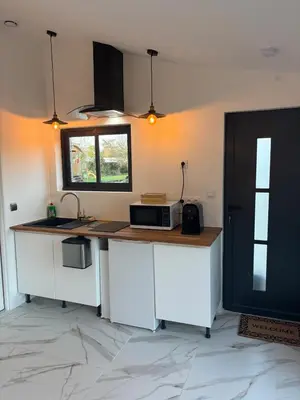 Cuisine ou kitchenette dans l'établissement La Suite du Maine SAINTES