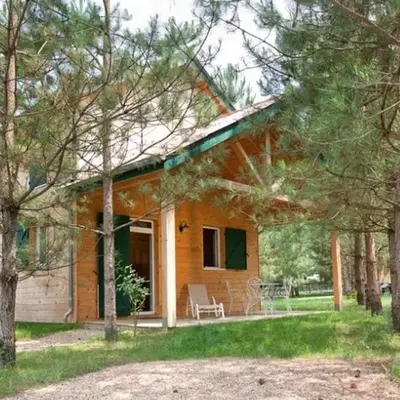Chalet spacieux avec terrasse pour 8 personnes - API-1-52-1342