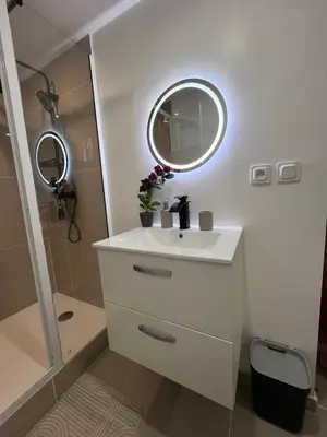 Salle de bains dans l'établissement Logement entier avec jacuzzi proche futuroscope