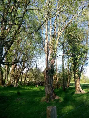 Paysage naturel près de l'appartement