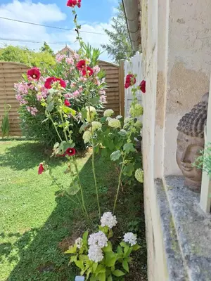 Jardin de l'établissement Gîte Florène à la campagne