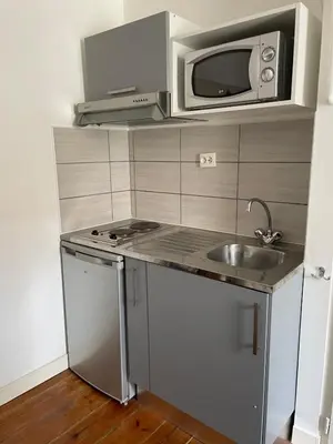Cuisine ou kitchenette dans l'établissement Studio lumineux au cœur du Vieux Marché
