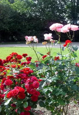 Jardin de l'établissement Le Logis De Ruelle