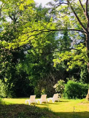 Jardin de l'établissement Château Fontclaire