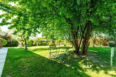 Jardin de l'établissement Logis Hôtel L'Oliveraie