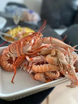 Nourriture dans l'appartement ou à proximité