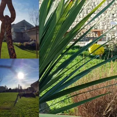 Jardin de l'établissement Les Hauts De Chalonne
