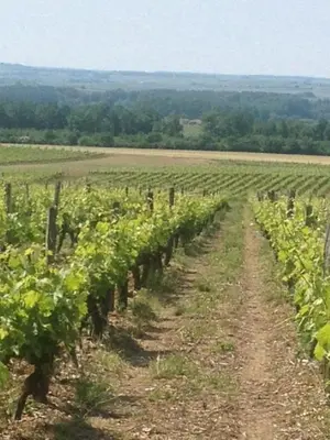 Plan de l'établissement Gite du Calme 3 Star Bed & Breakfast Cognac