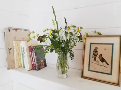 Bibliothèque dans le B&B/chambre d'hôtes
